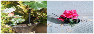 Blog1